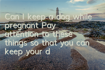 Can I keep a dog while pregnant? Pay attention to these things so that you can keep your dog with peace of mind