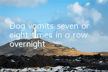 TDog vomits seven or eight times in a row overnight