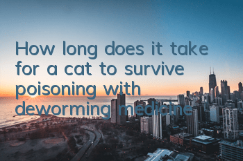 How long does it take for a cat to survive poisoning with deworming medicine?