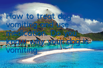 How to treat dog vomiting and use medication. Do you know why your dog is vomiting?
