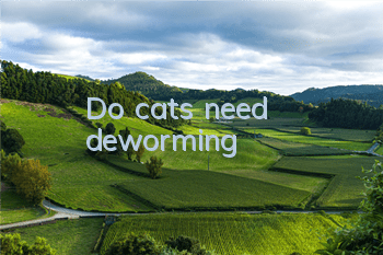Do cats need deworming?