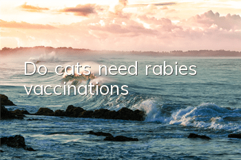 Do cats need rabies vaccinations?
