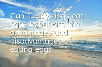 Can Teddy dogs eat eggs? What are the advantages and disadvantages of eating eggs?