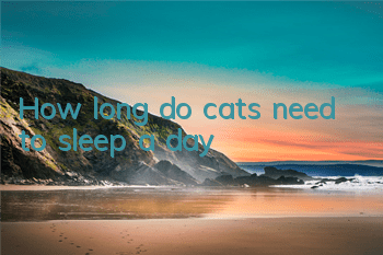 THow long do cats need to sleep a day?