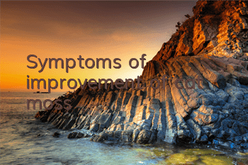 Symptoms of improvement of cat moss