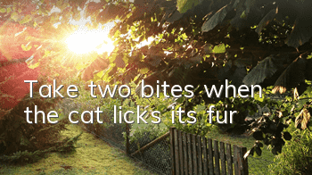 Take two bites when the cat licks its fur