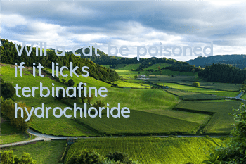 Will a cat be poisoned if it licks terbinafine hydrochloride?
