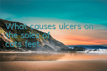 What causes ulcers on the soles of cats' feet?