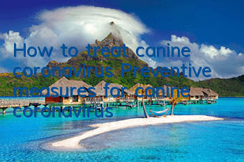 How to treat canine coronavirus Preventive measures for canine coronavirus