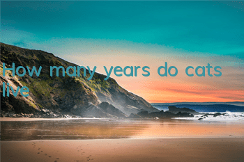 How many years do cats live?