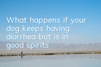 TWhat happens if your dog keeps having diarrhea but is in good spirits?