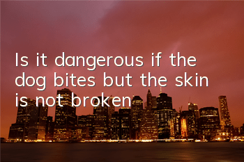 Is it dangerous if the dog bites but the skin is not broken?