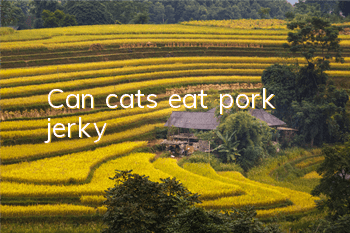Can cats eat pork jerky?