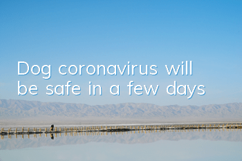 Dog coronavirus will be safe in a few days