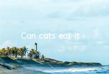 Can cats eat it?
