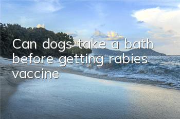 Can dogs take a bath before getting rabies vaccine?