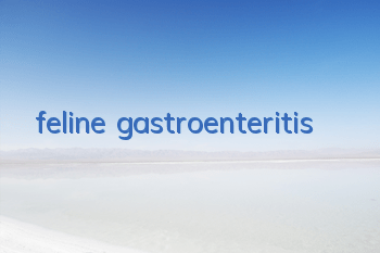 feline gastroenteritis