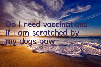 Do I need vaccinations if I am scratched by my dog’s paw?