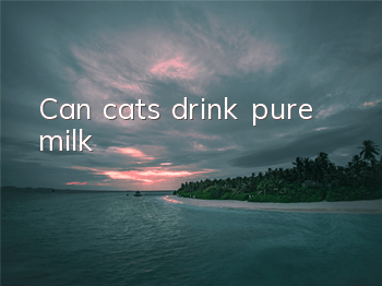 TCan cats drink pure milk?