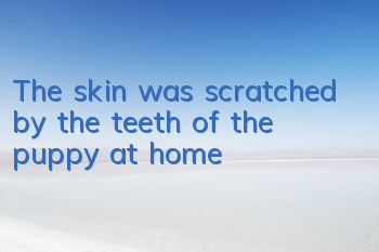 The skin was scratched by the teeth of the puppy at home
