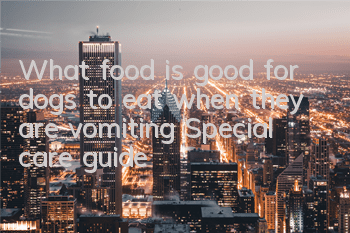 What food is good for dogs to eat when they are vomiting? Special care guide