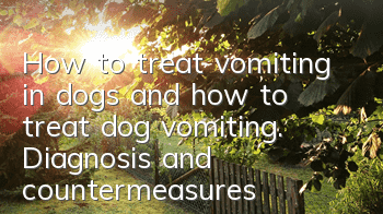 How to treat vomiting in dogs and how to treat dog vomiting. Diagnosis and countermeasures of dog symptoms.