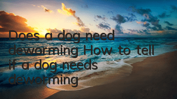 Does a dog need deworming? How to tell if a dog needs deworming?