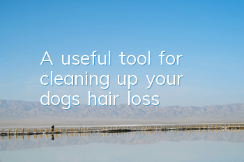 A useful tool for cleaning up your dog’s hair loss