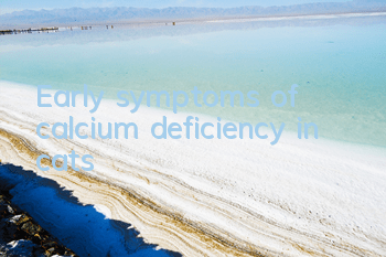 Early symptoms of calcium deficiency in cats