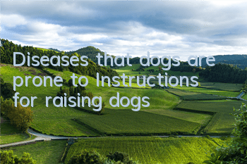 Diseases that dogs are prone to: Instructions for raising dogs