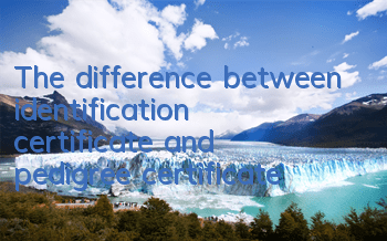 The difference between identification certificate and pedigree certificate