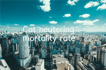 Cat neutering mortality rate