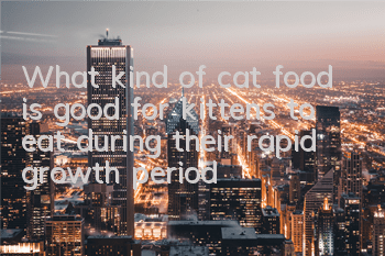 TWhat kind of cat food is good for kittens to eat during their rapid growth period?