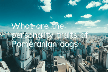What are the personality traits of Pomeranian dogs?
