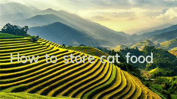 How to store cat food