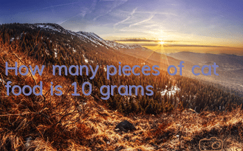 How many pieces of cat food is 10 grams?