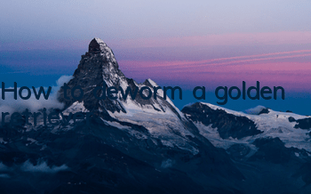 THow to deworm a golden retriever