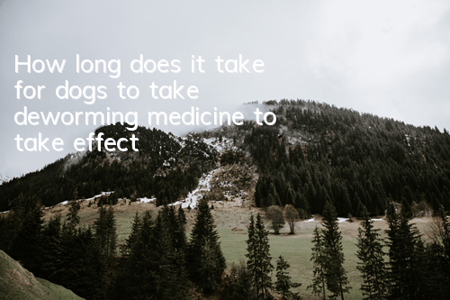How long does it take for dogs to take deworming medicine to take effect?