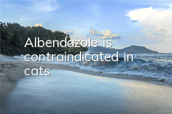 Albendazole is contraindicated in cats