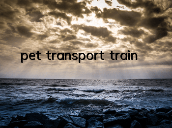 pet transport train