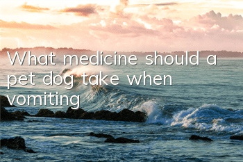 What medicine should a pet dog take when vomiting?