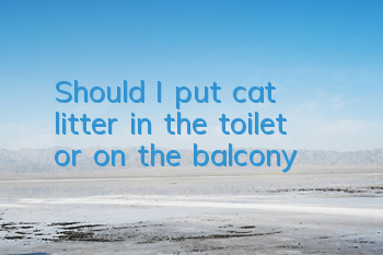 Should I put cat litter in the toilet or on the balcony?