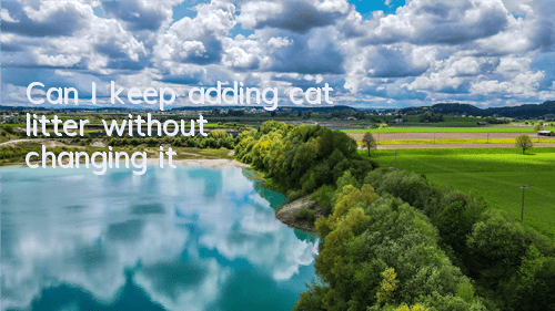 Can I keep adding cat litter without changing it?