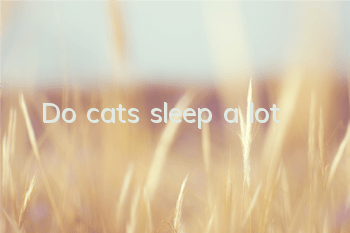Do cats sleep a lot?