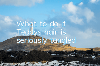 TWhat to do if Teddy's hair is seriously tangled
