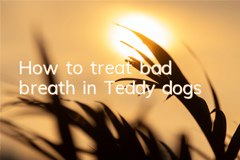 How to treat bad breath in Teddy dogs