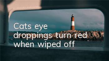 Cat's eye droppings turn red when wiped off
