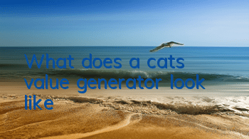 What does a cat's value generator look like?