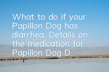 What to do if your Papillon Dog has diarrhea. Details on the medication for Papillon Dog Diarrhea.