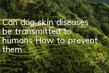 Can dog skin diseases be transmitted to humans? How to prevent them?